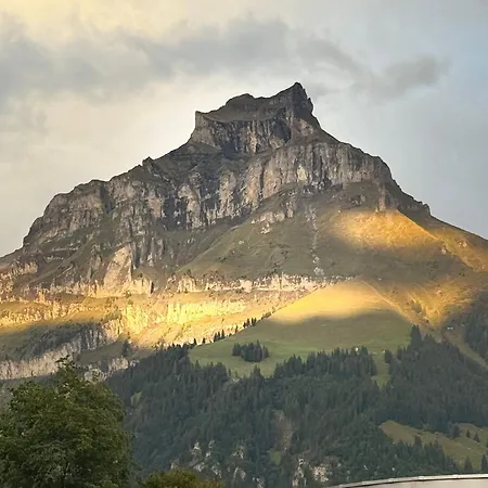 Alpine Hideaway - Cozy Mountainview Studio, Home-cinema, Free Parking, Ski, Engelberg, Luzern Engelberg