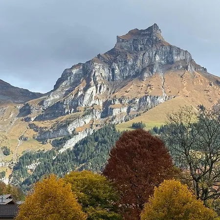 Alpine Hideaway - Cozy Mountainview Studio, Free Parking, Ski, Engelberg, Luzern