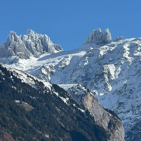 Apartment Alpine Hideaway - Cozy Mountainview Studio, Home-cinema, Free Parking, Ski, Engelberg, Luzern