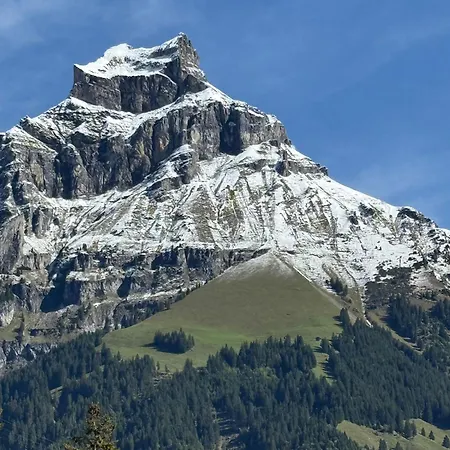 Apartment Alpine Hideaway - Cozy Mountainview Studio, Home-cinema, Free Parking, Ski, Engelberg, Luzern