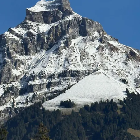 Alpine Hideaway - Cozy Mountainview Studio, Free Parking, Ski, Engelberg, Luzern *