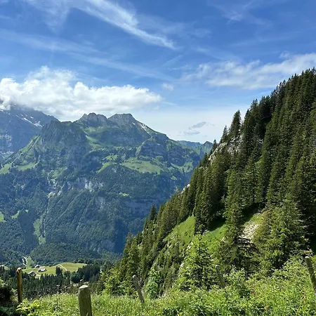Alpine Hideaway - Cozy Mountainview Studio, Home-cinema, Free Parking, Ski, Engelberg, Luzern * Engelberg