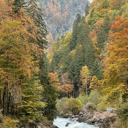 Alpine Hideaway - Cozy Mountainview Studio, Free Parking, Ski, Engelberg, Luzern Апартаменти