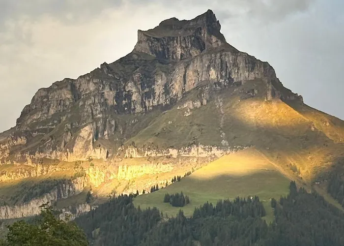 Alpine Hideaway - Cozy Mountainview Studio, Home-cinema, Free Parking, Ski, Engelberg, Luzern Engelberg