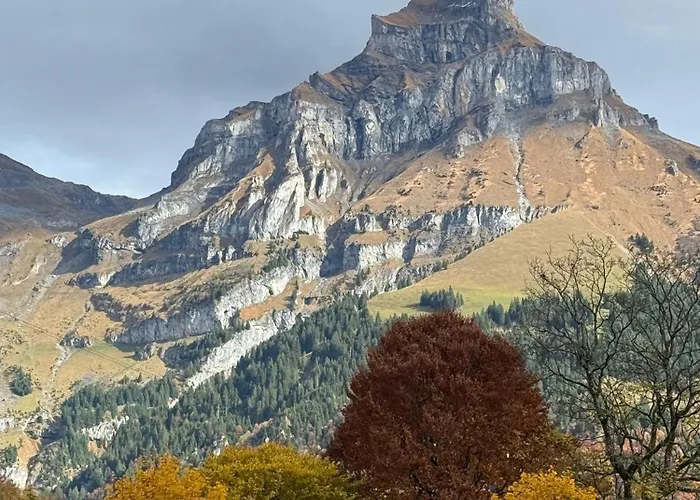 Alpine Hideaway - Cozy Mountainview Studio, Home-cinema, Free Parking, Ski, Engelberg, Luzern