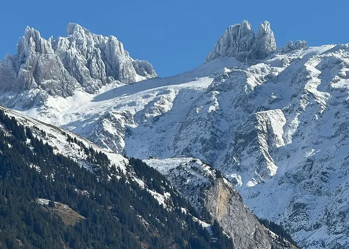 Apartment Alpine Hideaway - Cozy Mountainview Studio, Home-cinema, Free Parking, Ski, Engelberg, Luzern