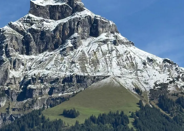 Apartment Alpine Hideaway - Cozy Mountainview Studio, Home-cinema, Free Parking, Ski, Engelberg, Luzern